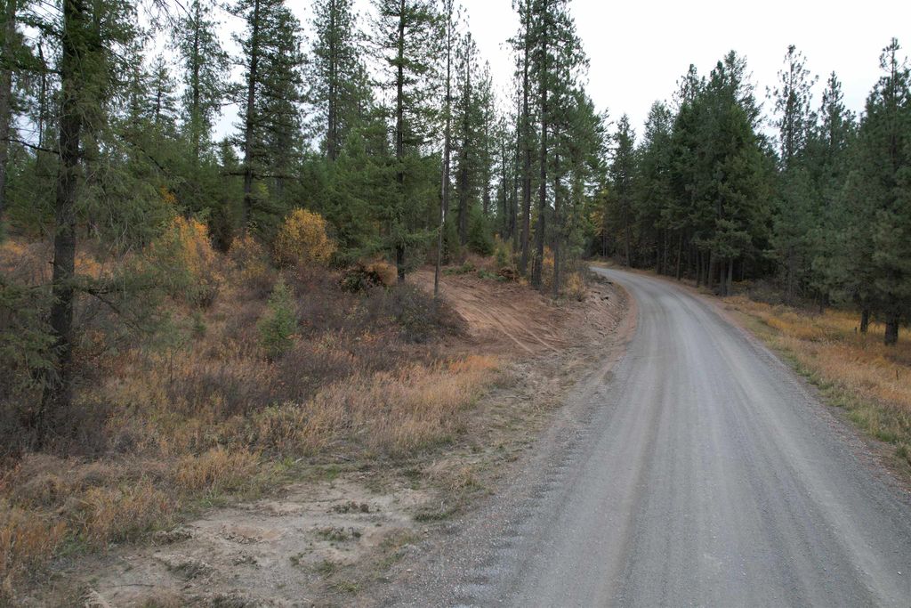 346X Solokar Rd, Valley, WA 99181 photo 4