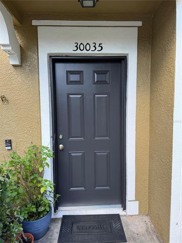 30035 GRANDA HILLS COURT, Wesley Chapel, FL 33543