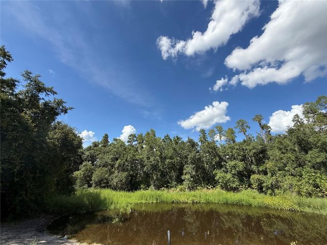 30035 GRANDA HILLS COURT, Wesley Chapel, FL 33543
