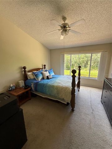 30035 GRANDA HILLS COURT, Wesley Chapel, FL 33543