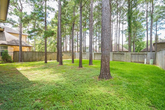 79 W Jagged Ridge Circle, Spring, TX 77389