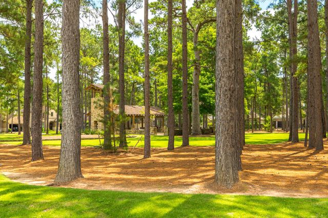 79 W Jagged Ridge Circle, Spring, TX 77389