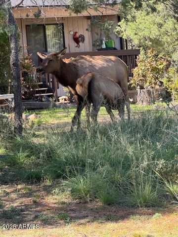 606 N EASY Street D, Payson, AZ 85541