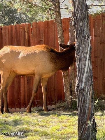 606 N EASY Street D, Payson, AZ 85541