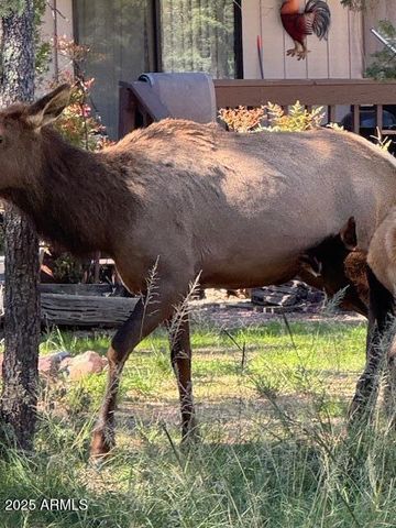 606 N EASY Street D, Payson, AZ 85541