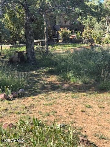 606 N EASY Street D, Payson, AZ 85541