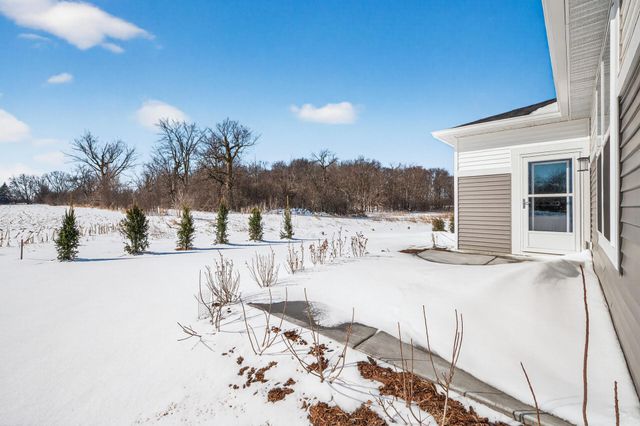 19572 102nd Place, Corcoran, MN 55374