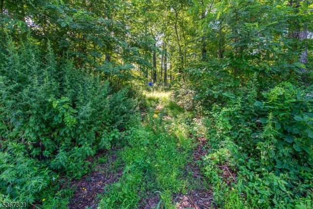 30 E Shore Culver Rd, Frankford Twp., NJ 07826