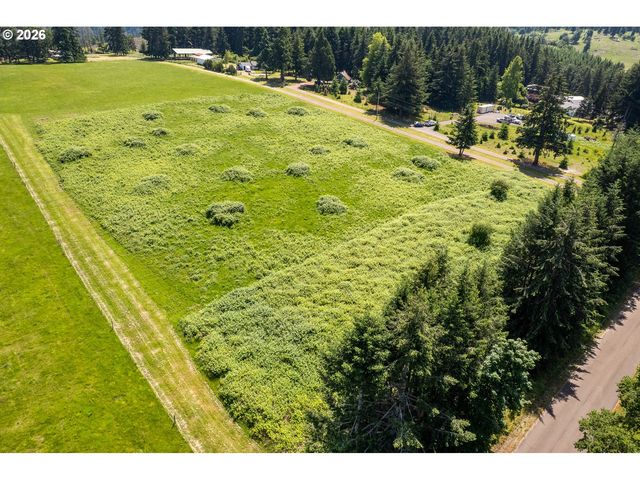 S Ellis Rd 1, Molalla, OR 97038