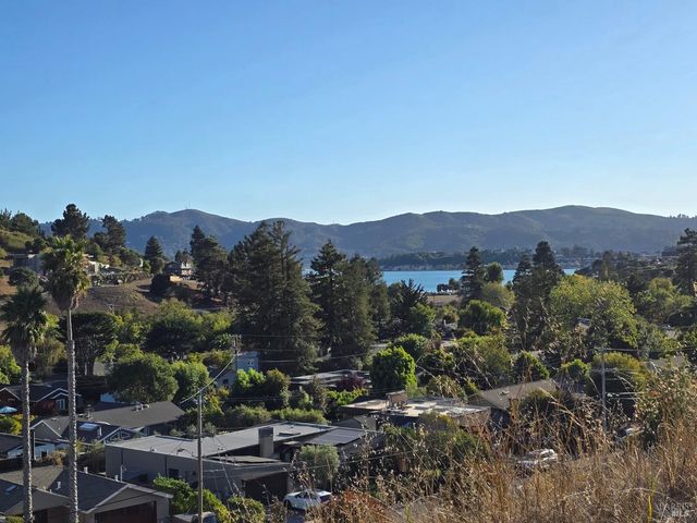 53 Mercury Ave, Tiburon, CA 94920