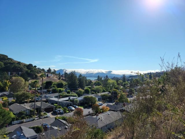 53 Mercury Ave, Tiburon, CA 94920