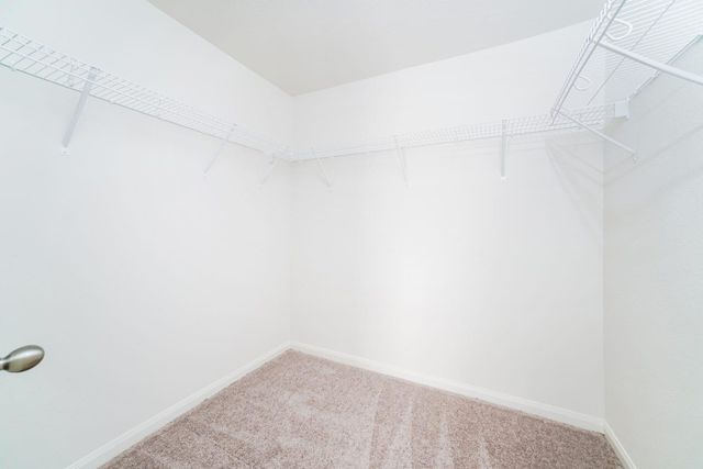 22067 Ellison Drive, Magnolia, TX 77355