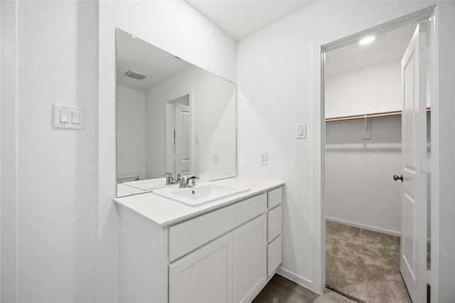 16842 Spotted Oak Drive, Hockley, TX 77447