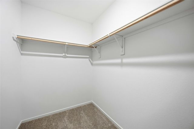 16842 Spotted Oak Drive, Hockley, TX 77447