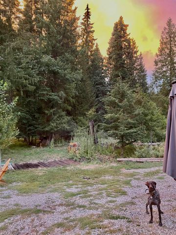 245 Night Hawk Ln, Newport, WA 99156