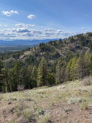 245 Night Hawk Ln, Newport, WA 99156