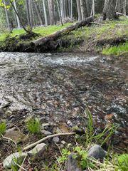 245 Night Hawk Ln, Newport, WA 99156