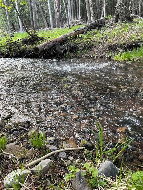 245 Night Hawk Ln, Newport, WA 99156