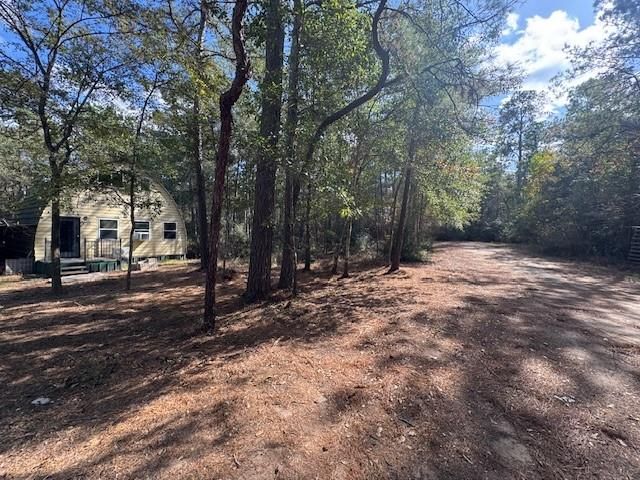 9212 Blue Lake Drive, Plantersville, TX 77363