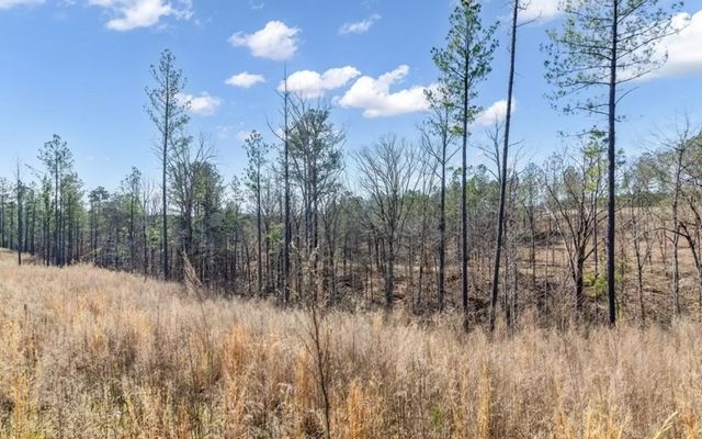 182 Vista Creek Drive, Talking Rock, GA 30175