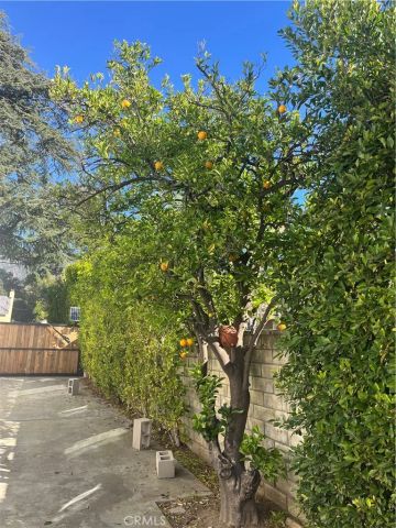 660 Devirian, Altadena, CA 91001