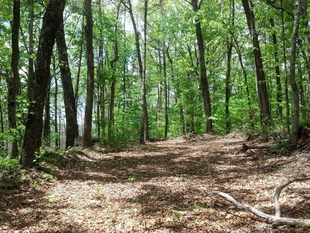 0 Sequatchie Mountain Road, Sequatchie, TN 37374