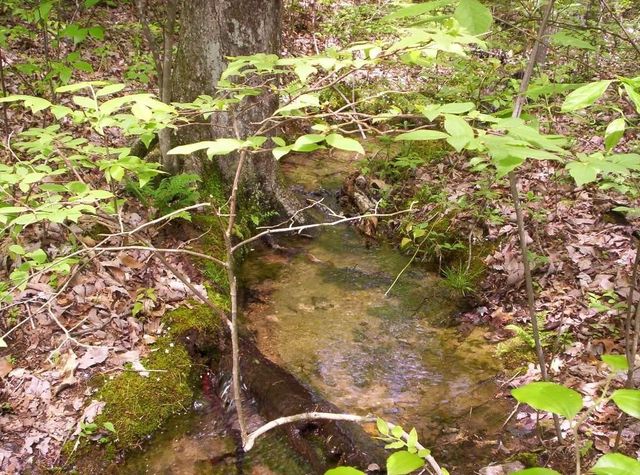 0 Sequatchie Mountain Road, Sequatchie, TN 37374