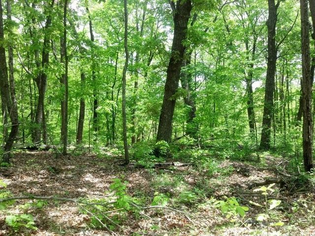 0 Sequatchie Mountain Road, Sequatchie, TN 37374