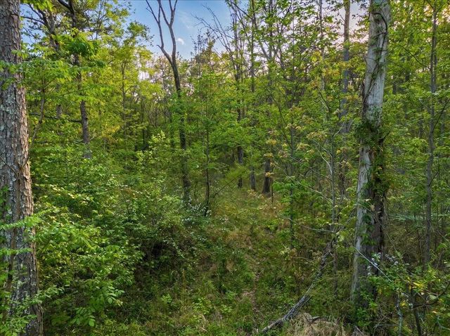 0 Sequatchie Mountain Road, Sequatchie, TN 37374