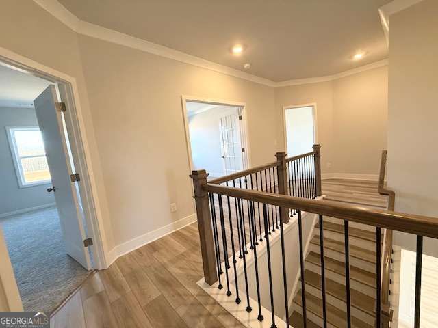 114 Brandle Rose Way, Hoschton, GA 30548