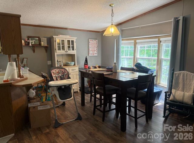 811 Turkey Pen Gap Road, Horse Shoe, NC 28742