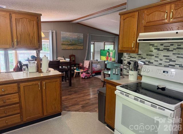 811 Turkey Pen Gap Road, Horse Shoe, NC 28742