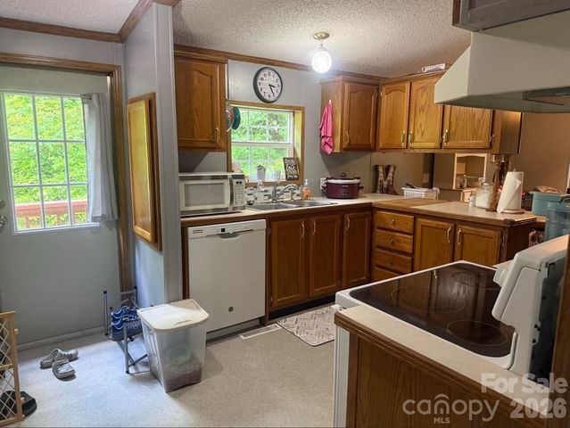 811 Turkey Pen Gap Road, Horse Shoe, NC 28742