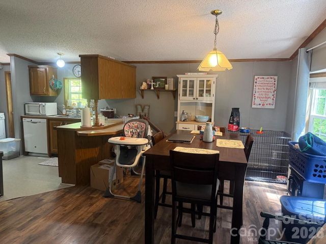 811 Turkey Pen Gap Road, Horse Shoe, NC 28742