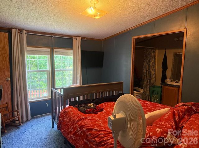 811 Turkey Pen Gap Road, Horse Shoe, NC 28742