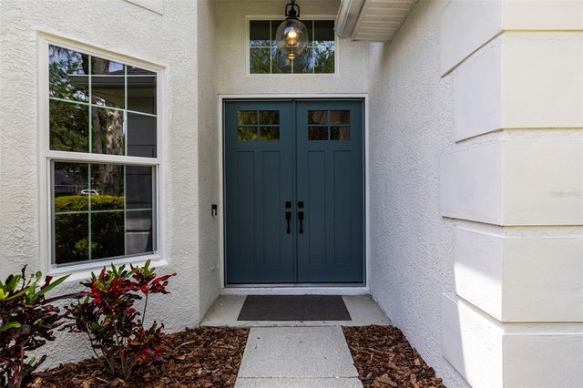 10142 DEERCLIFF DRIVE, Tampa, FL 33647