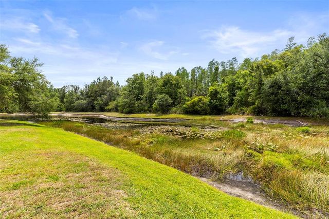 10142 DEERCLIFF DRIVE, Tampa, FL 33647