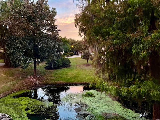 31 Battery White Ct Unit 1005, Georgetown, SC 29440