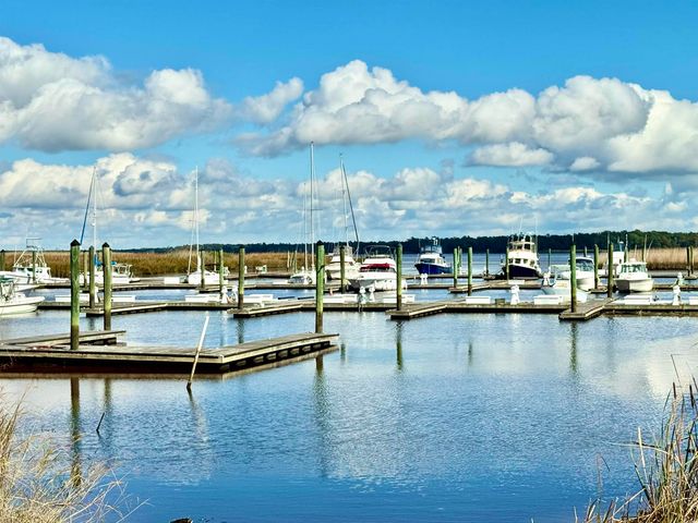 31 Battery White Ct Unit 1005, Georgetown, SC 29440