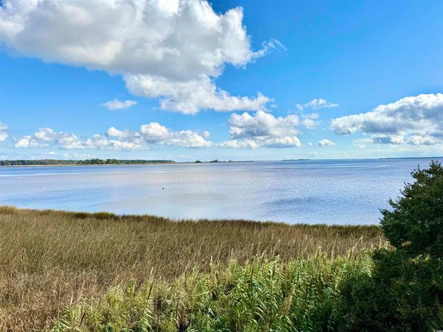 31 Battery White Ct Unit 1005, Georgetown, SC 29440