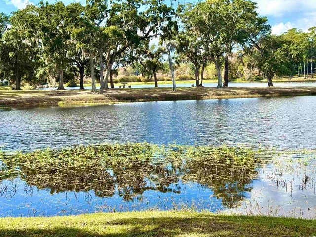 31 Battery White Ct Unit 1005, Georgetown, SC 29440