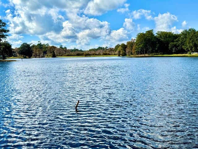 31 Battery White Ct Unit 1005, Georgetown, SC 29440