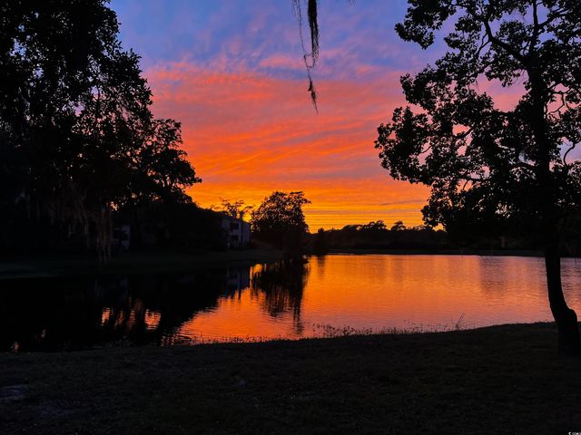 31 Battery White Ct Unit 1005, Georgetown, SC 29440