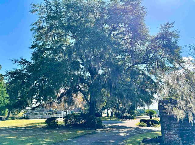 31 Battery White Ct Unit 1005, Georgetown, SC 29440