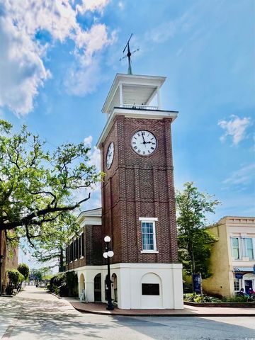 31 Battery White Ct Unit 1005, Georgetown, SC 29440