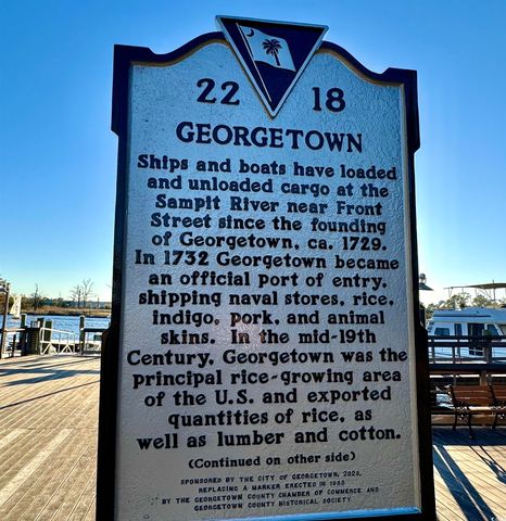 31 Battery White Ct Unit 1005, Georgetown, SC 29440