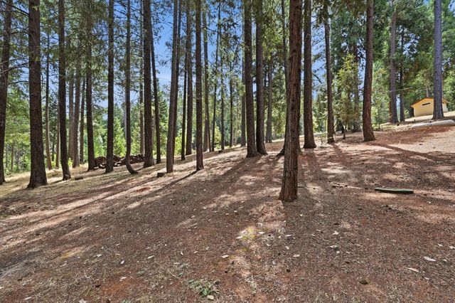 5285 Mckeon Ponderosa Way, Foresthill, CA 95631