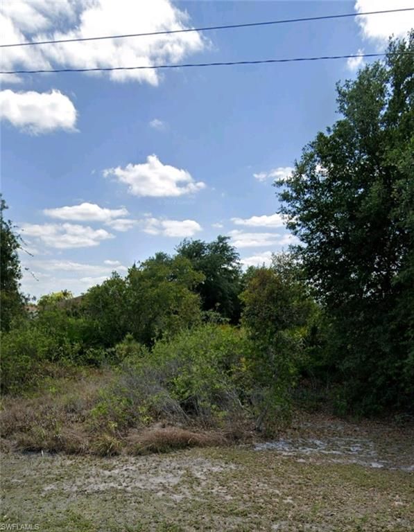 3103 57th ST W, LEHIGH ACRES, FL 33971 — photo 2