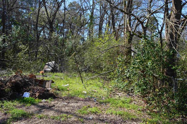 3210 Bellwood, Tyler, TX 75701