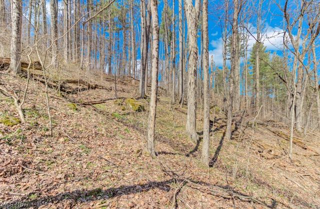 8087 2nd Drive SW, Bowerston, OH 44695